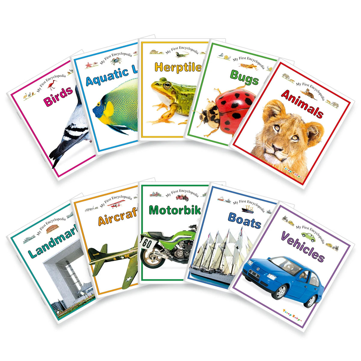 مجموعة كتب مكونة من 10 كتب لتعلم اللغة الإنجليزية للأطفال، مادة قراءة تعليمية للمعرفة الشاملة للأطفال