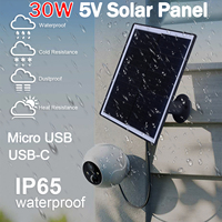 30W 5V Solar Panel Outdoor Solar Cells Charger USB/Type-C Solar Panels Waterproof Solar Cells Charger for Camera/Home Light Use