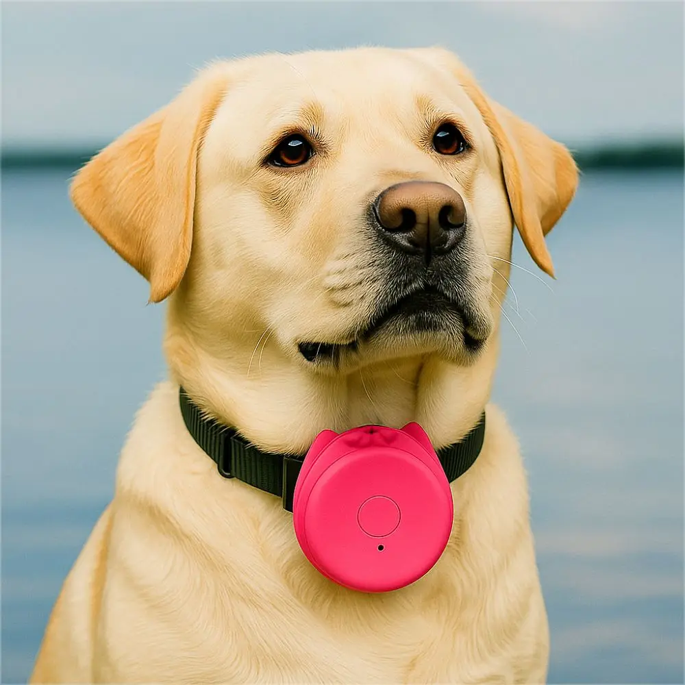 Mini localizzatore GPS anti-smarrimento Bluetooth 5.2 Localizzatore Bluetooth wireless per animali domestici Forma di cartone animato Localizzatore intelligente in plastica Viaggi all'aperto
