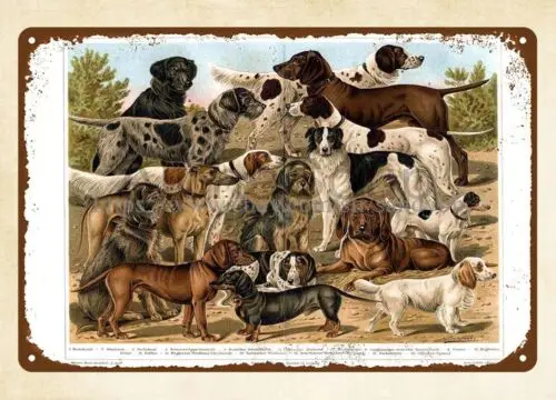 Late 1800s Hunting Dog Breeds metal tin sign indoor wall hangings