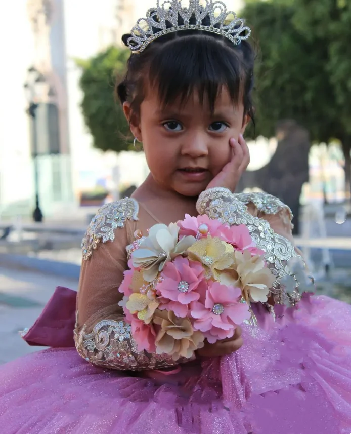 Pink Mini Quinceanera Dresses Little Princess Flower Girl Dress 2025 Long Sleeve Tulle Appliques vestidos de novia