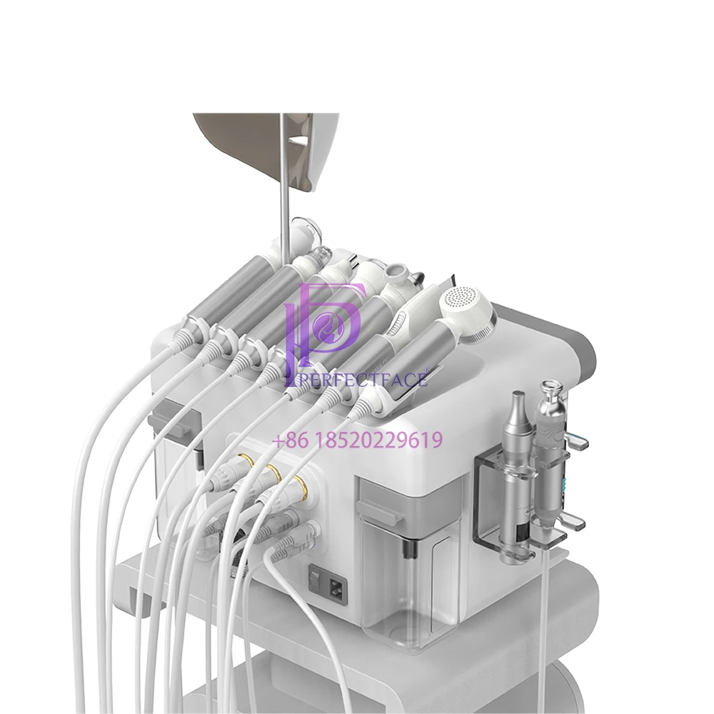 10-in-1 Multifunctioneel Huidverzorgingsapparaat Waterpolijsten Airbrush Warm Koud Hamer Carbon Bubble Dual HR Ultrasone Huidschop