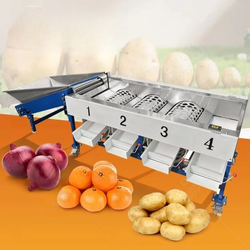 Customized Fruit Process Machine Palm Date Sort Machine Vegetable Rotary Wax and Grade Machine