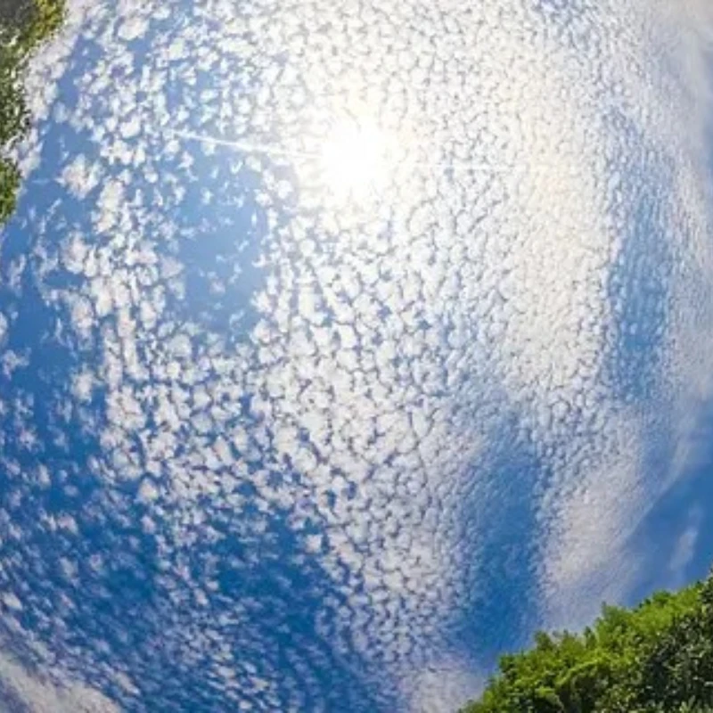 

GEPRC Triple Feed Patch-1 5.8G 9.4DBI Circular Polarized FPV Antenna Compatible RHCP LHCP for RC Fatshark Skyzone FPV Goggle DIY