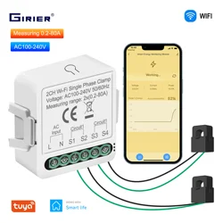 GIRIER Smart Power Meter WiFi Energy Monitor with 1/2 Current Transformer Clamp Support Electricity Usage Bidirectional Metering