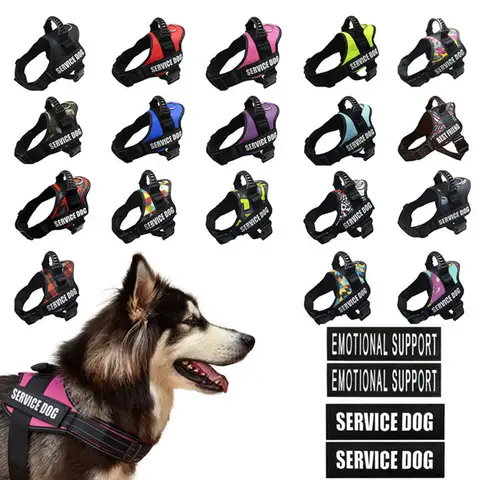 Gilet per imbracatura personalizzabile per animali domestici per cani di taglia piccola, media e grande Imbracatura per cani da passeggio classica di lusso regolabile senza tirare Forniture per animali domestici sicure