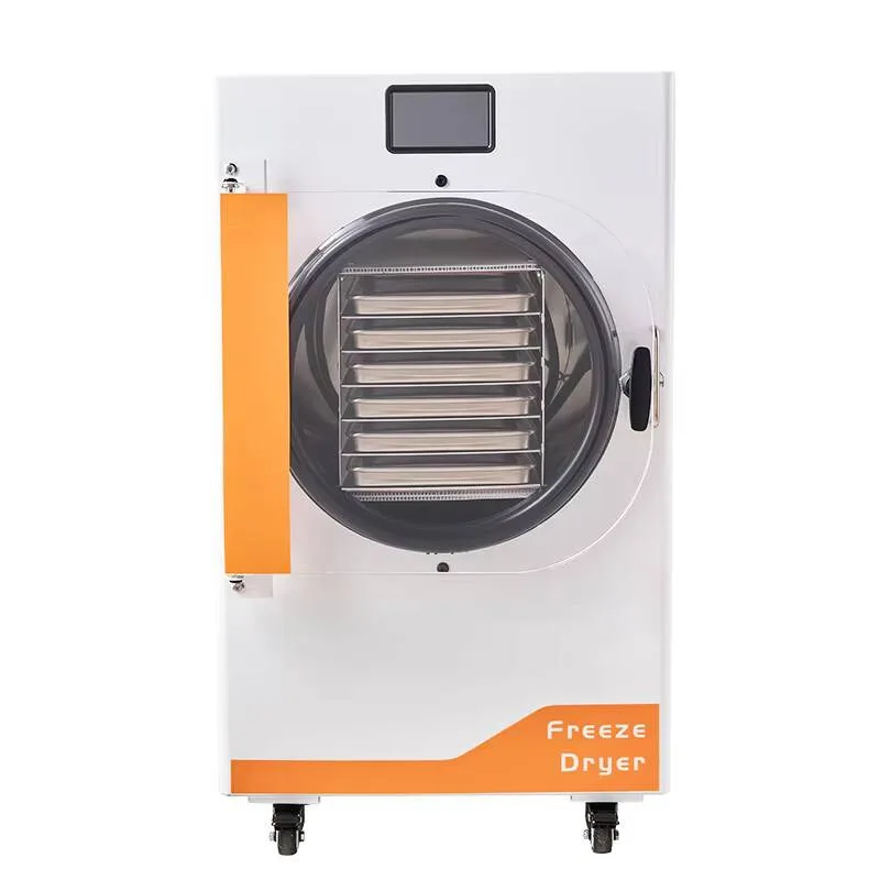 DALLE Home Commercial Small Dryer Vacuum Lyophilizer Freeze Drying Machine For Food Fruits And Vegetables