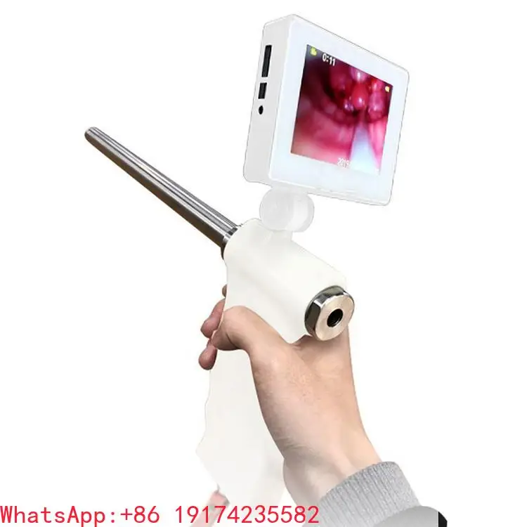 

Hot Sale Vete-rinary Arti-ficial Insem-ination Eq-ipment Ai Gun Digi-tal Arti-icial Inse-mination for Goat Cow