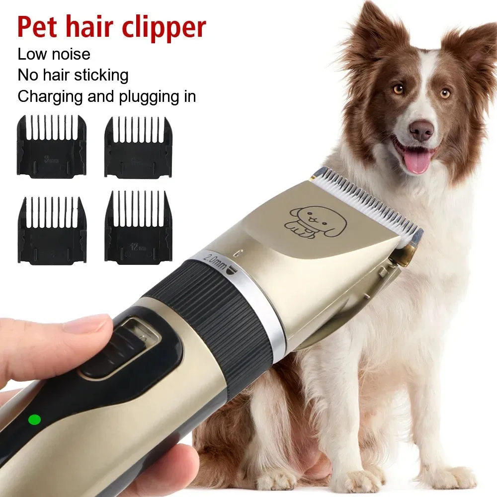 Thumbnail 4 - #24 Cat Grooming Comparison Guide