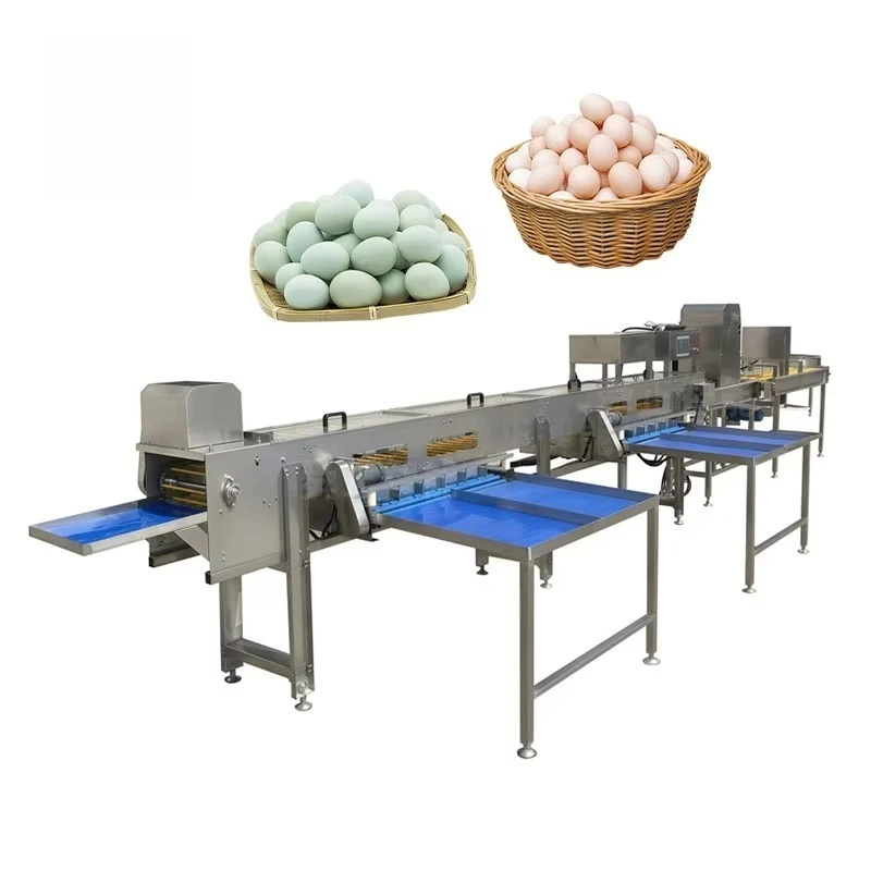Customized Grading Standards Electronic 5000pcs/h Poultry Egg Weight Grading Sorting Machine