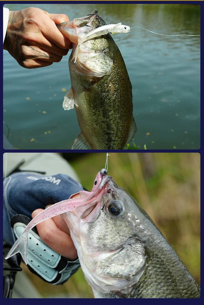 Kingdom Sinking Buckle Wings Soft Lure 100mm 4.2g Drop Shot Rig Soft Swimbait Split Tail für Bass, Forelle, Hecht, Zander, Pesca – Detail 9