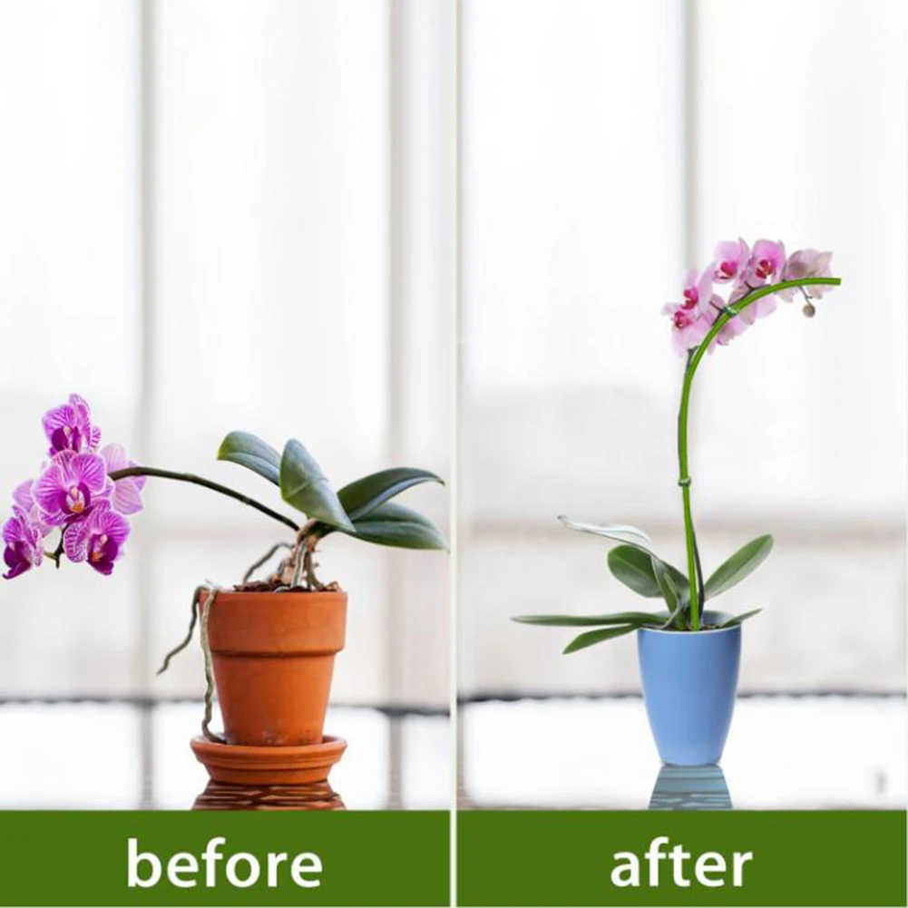 

Garden Clips Orchid Support Outdoor Use Robust Material Versatile Support Adjustable Height Easy Installation Gardening Setup