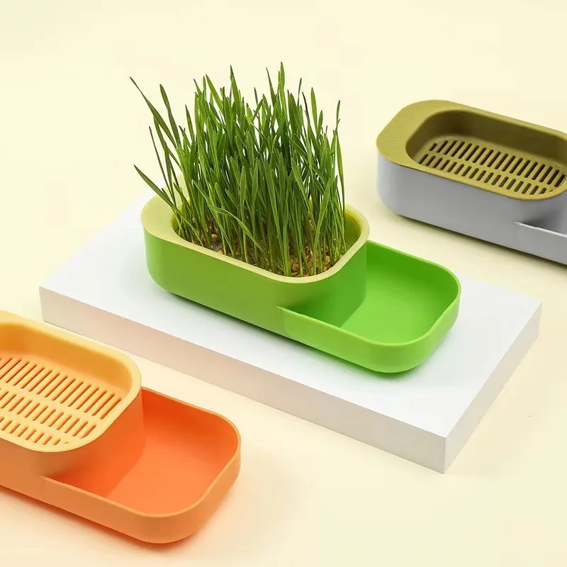 صندوق كاتجراس بدون تربة زراعة مائية بوعاء طقم زراعة بذور القمح وجبات خفيفة الجهاز الهضمي كاتجراس نظيف