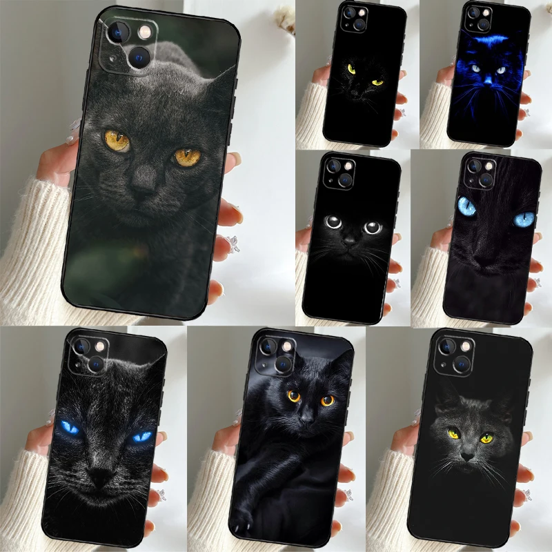 Black Cat Staring E… - image