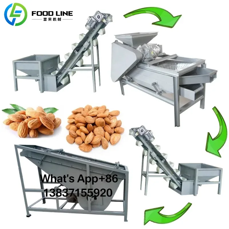 Automatic Nut Shelling Plant Complete Production Line For Almond Walnut Hazelnut With Touch Screen Control