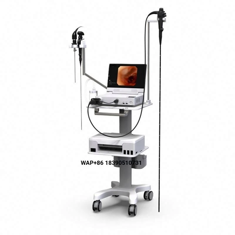 290 Portable Veterinary Gastroscope System, Veterinary Instrument with Function