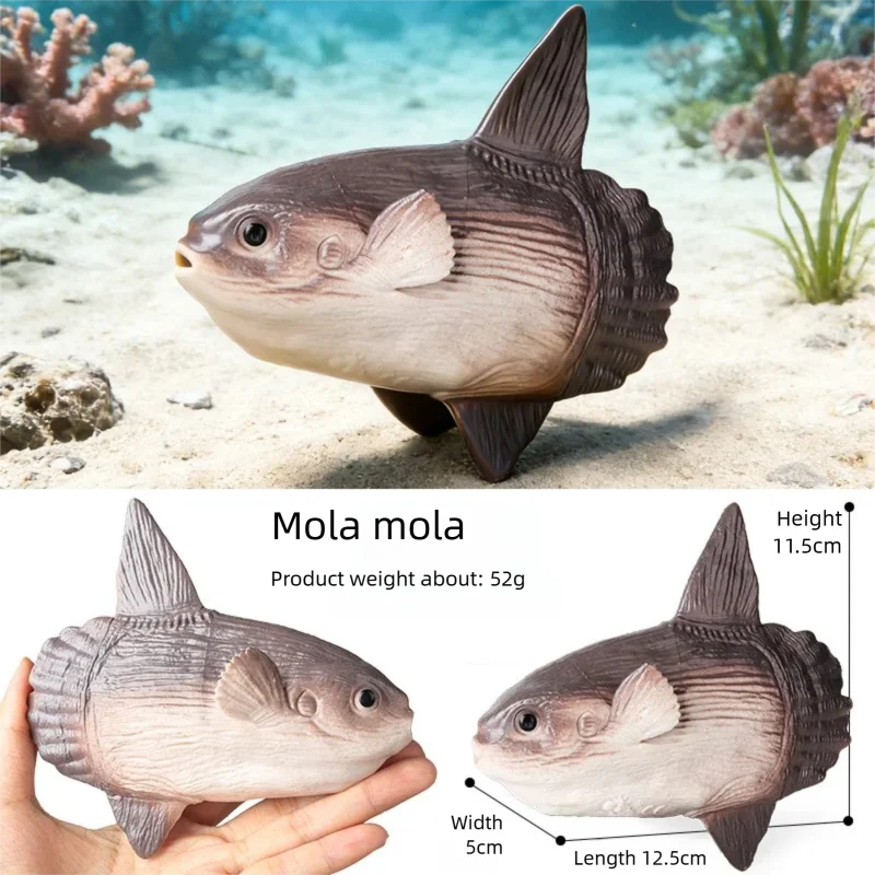 Realistische Meerestier-Figur Tiefsee-Kreaturen-Modell Ozean-Fisch-Figuren Blobfisch-Sammlung Geschenk-Dekoration – Detail 3