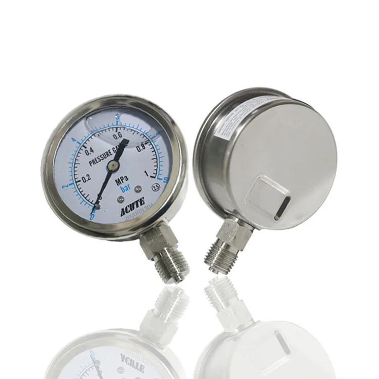 Stainless Steel Seismic Pressure Gauge Radial Marine Equipment for Acid and Alkali YN60BF 1MPA 10BAR