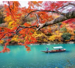 

Vaccum Breast Enhancement Hip Lifting Women Nude Nipple Sucking Enlargement Suction Cup Vacuum Therapy Improve Machine