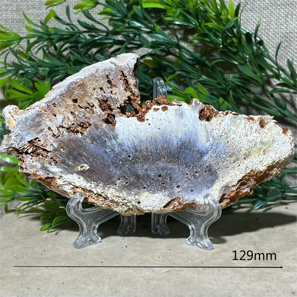 Crystal Natrural Agate Rutile Slab Slice Stone Reiki High Quality Beauty Healing Quartz Minerals Home Decoration + Stand