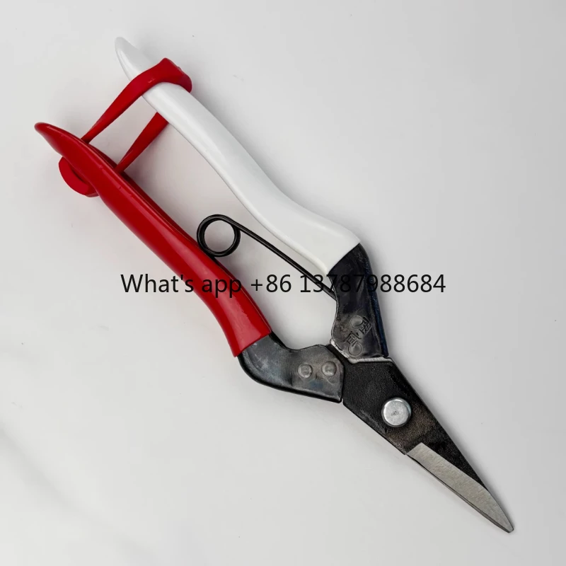 

307 Pointed Thin Fruit Scissors with Straight Blades, Short Headed Vegetable and Fruit Picking Scissors