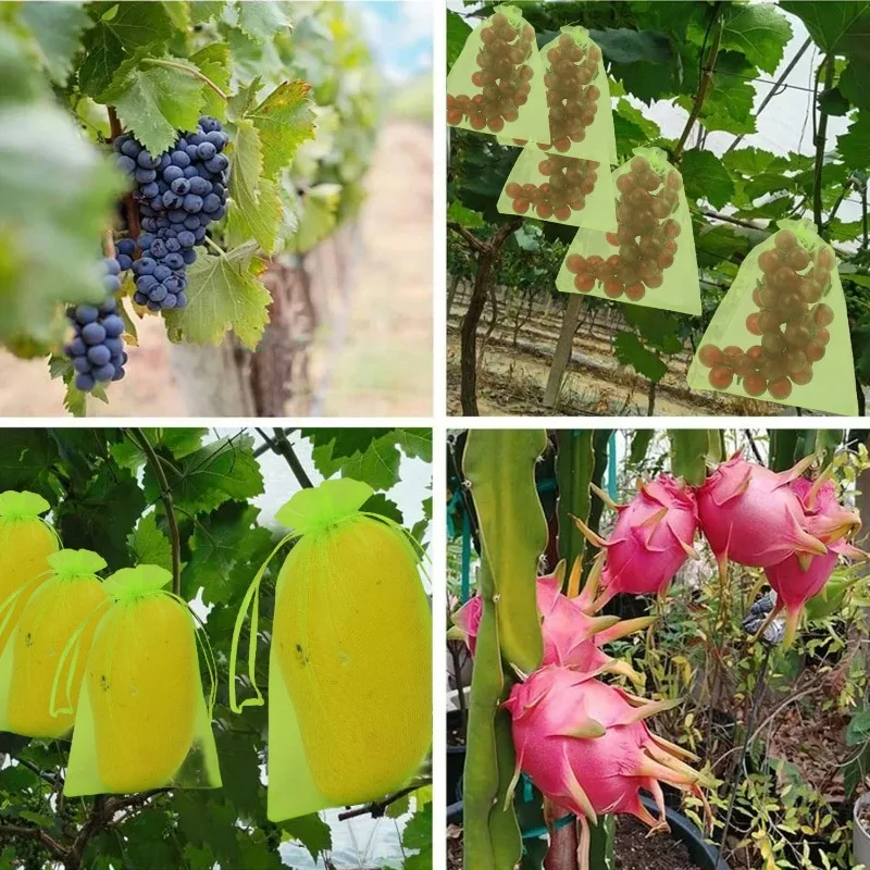 10-100 قطعة أكياس حماية الفاكهة الشبكية الخضراء مع إغلاق الرباط المزدوج قابلة لإعادة الاستخدام لأشجار الحديقة والخضروات والعنب كيس شاش