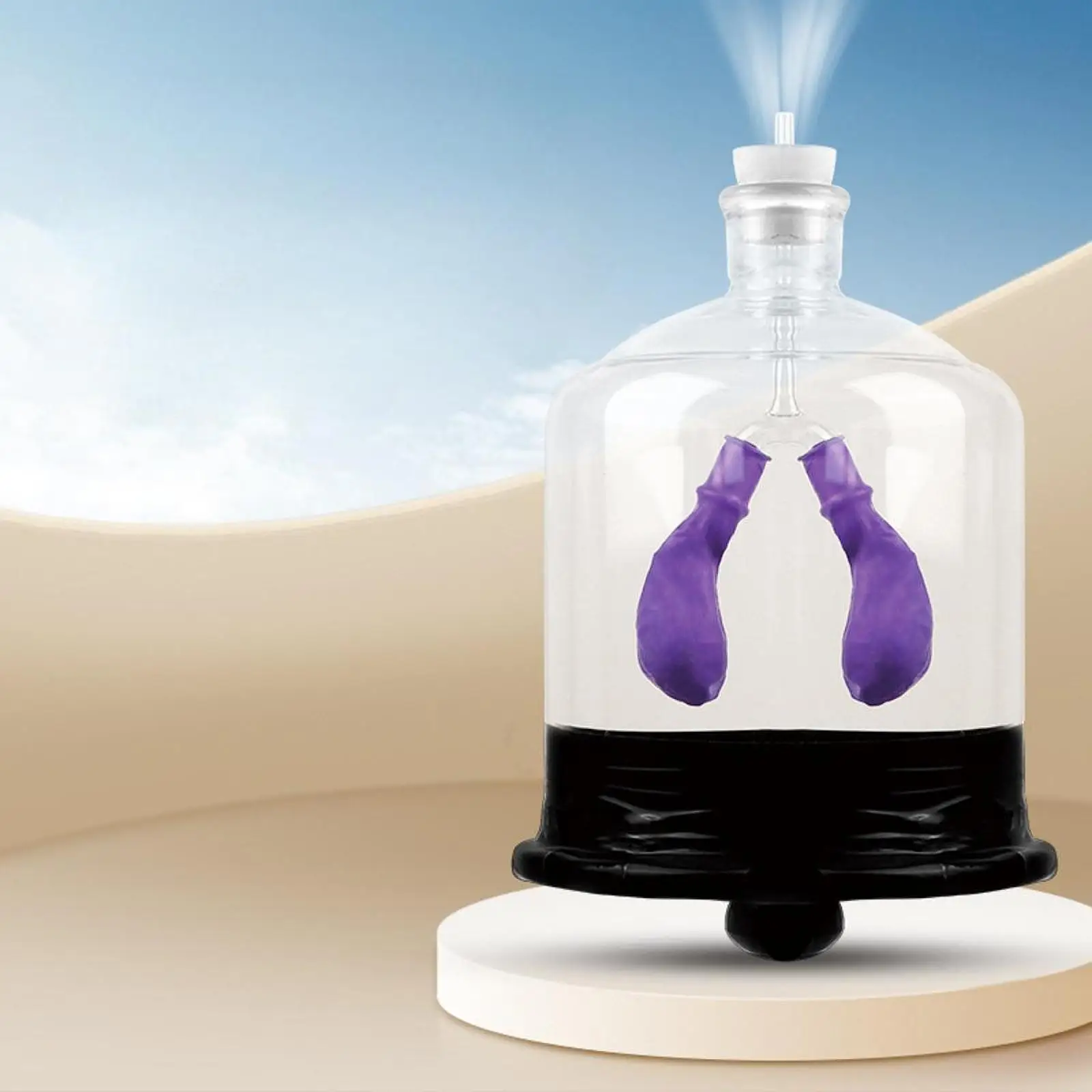 

Модель для демонстрации функций легких, обучающая игрушка для детей, школьников и подростков