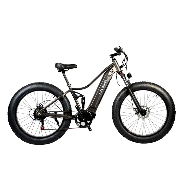 

STLF China Factory Mid Drive Electric Bike for Sale Bicicleta Electrica E Bike Ebike Electric Bicycle