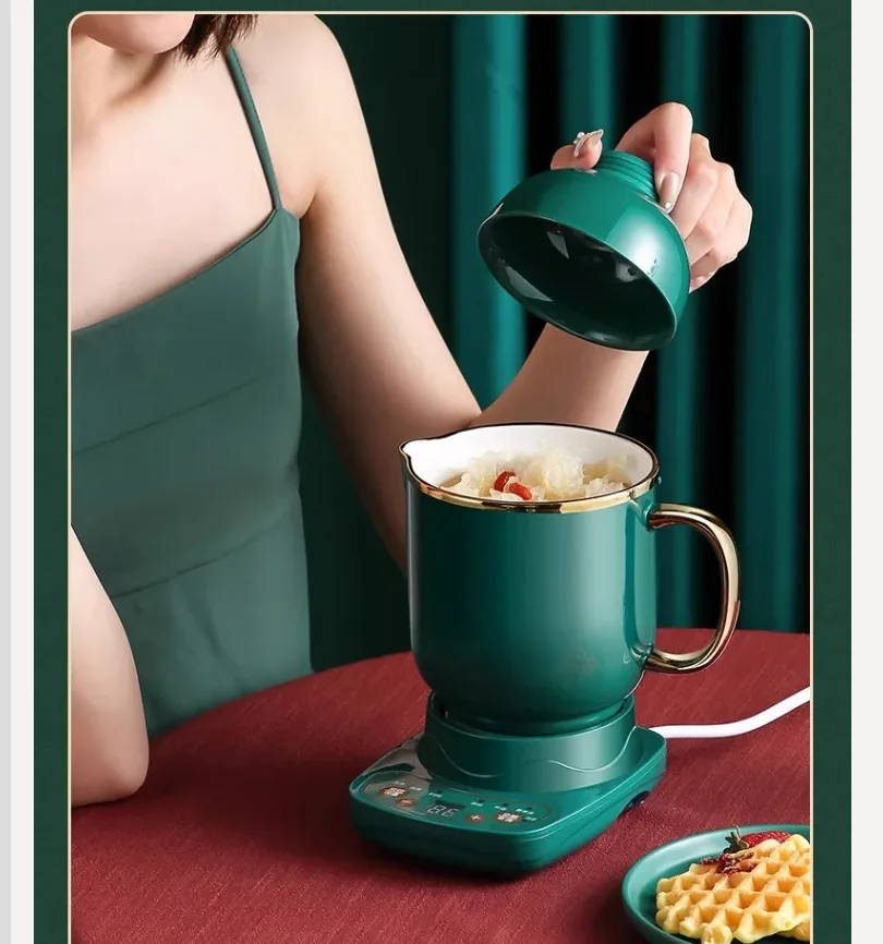 110V/220V Electric Kettle Ceramic Tea Warmer Health Care Overheat Protection for Japan USA Canada BCA