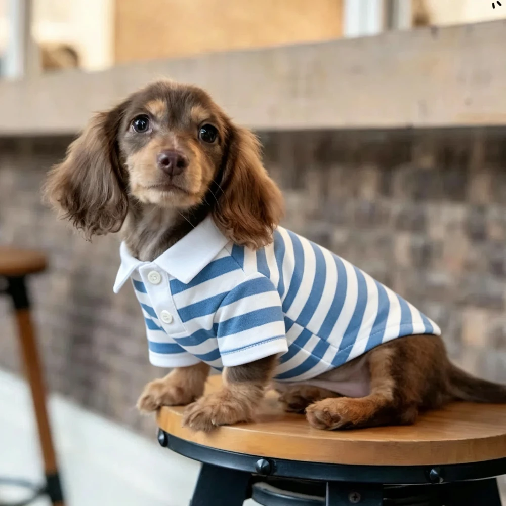 Gestreept katoenen rood poloshirt voor worsthonden Lente-sweatshirt voor worsthonden Zachte jas voor miniatuur teckel in de herfst