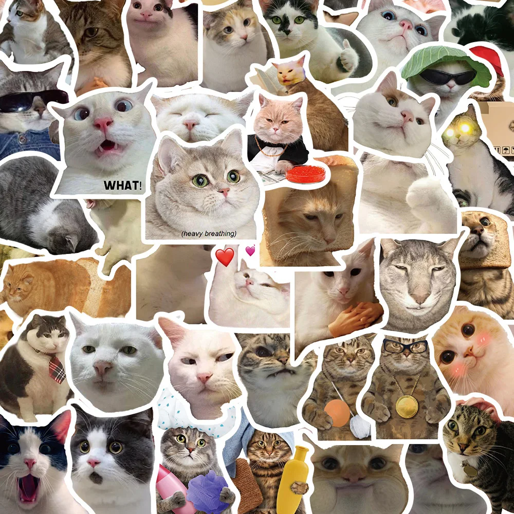 10/30/50 pçs engraçado meme gato dos desenhos animados graffiti adesivos bonito animal decalques brinquedo do miúdo diy mala papelaria telefone adesivo à prova dwaterproof água