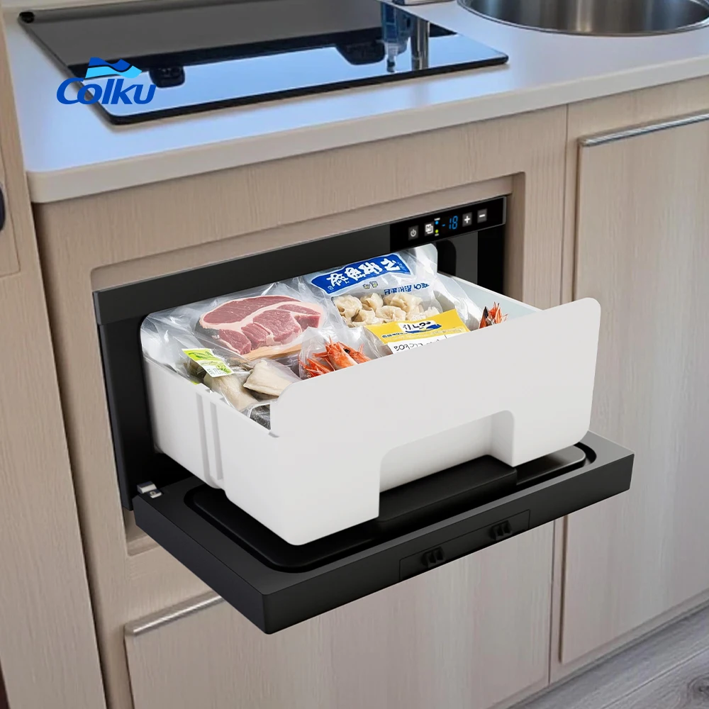 Metal 12V 24V Refrigerator DC R600a Fast Cooling 21L Built-in Car Fridge Freezer for Campervan Motorhome Outdoor Camping Pro