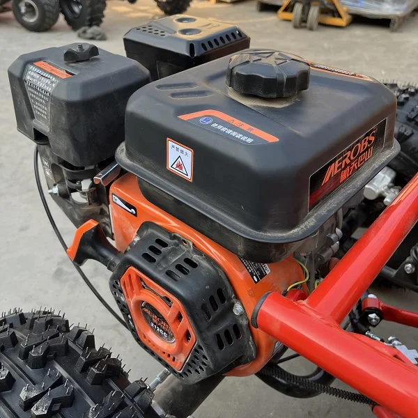 Hot Sale 212cc 4-Stroke Off Road Go Kart, 8 Inch Tires Max 60km/h Long Endurance Design for Kids Adults Outdoor Fun Racing Games view 6