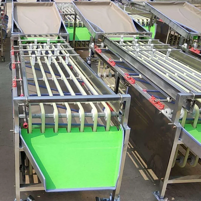 

Fruit Sorting Machine Speed Adjustable Fruit Sorter Passion Fruit Walnut Tomato Stainless Steel Multifunctional Sorter