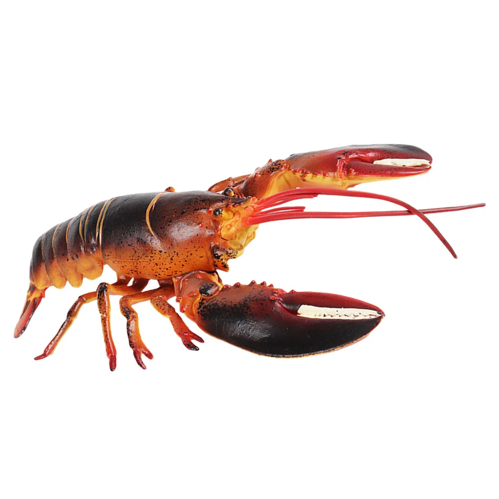 

Toy Realistic Animal Figures Model Simulation Lobster Lifelike Statue Kids Toys Simulated Heart-shaped Child