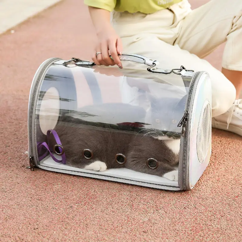 Sac de voyage portable transparent pour animaux de compagnie, porte-chien et chat, sortie, portable, grande capacité, simple