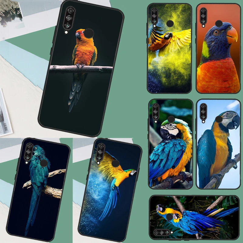 Parrot Bird Case For Huawei Nova Y60 Y61 Y70 Y90 Nova 11i 8i 3i 5T 9 10 SE P20 P30 P40 Lite Mate 60 Pro