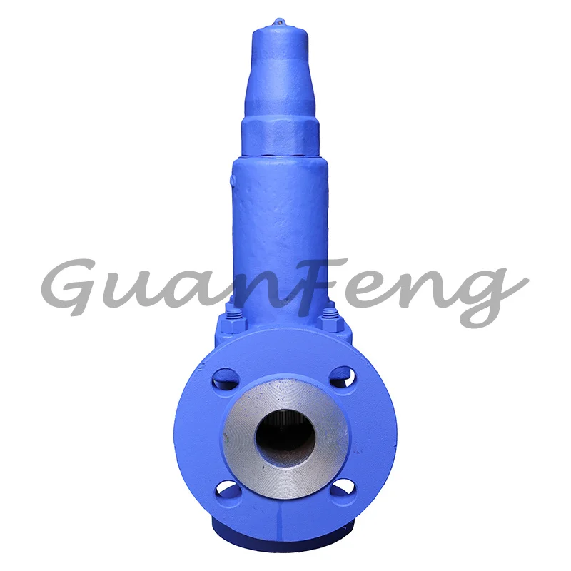 DN25*40 Flange Safety High Pressure Natural G Safety Relief Valve