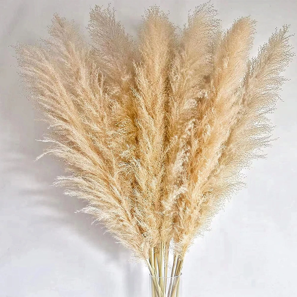 80-140cm Fluffy Large Pampas Grass for Home, Boho Decor, Country Wedding, Floral Decoration, Dried Flowers, Garden Bouquets