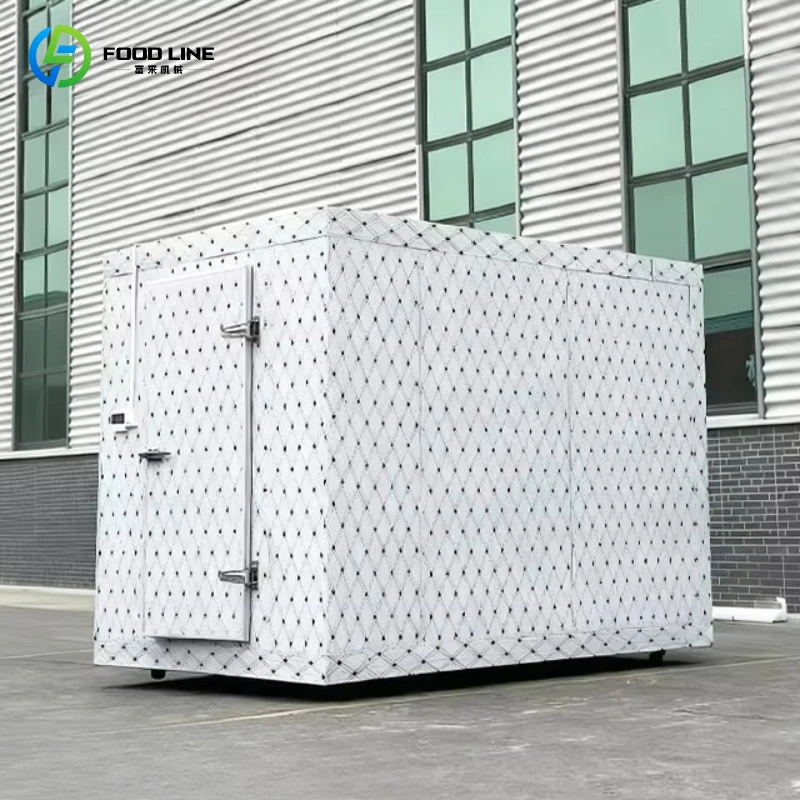 Customized Portable Mobile Cold Room Build Refrigeration Walk-in Freezer Room with Compressor Accurate Temperature Control