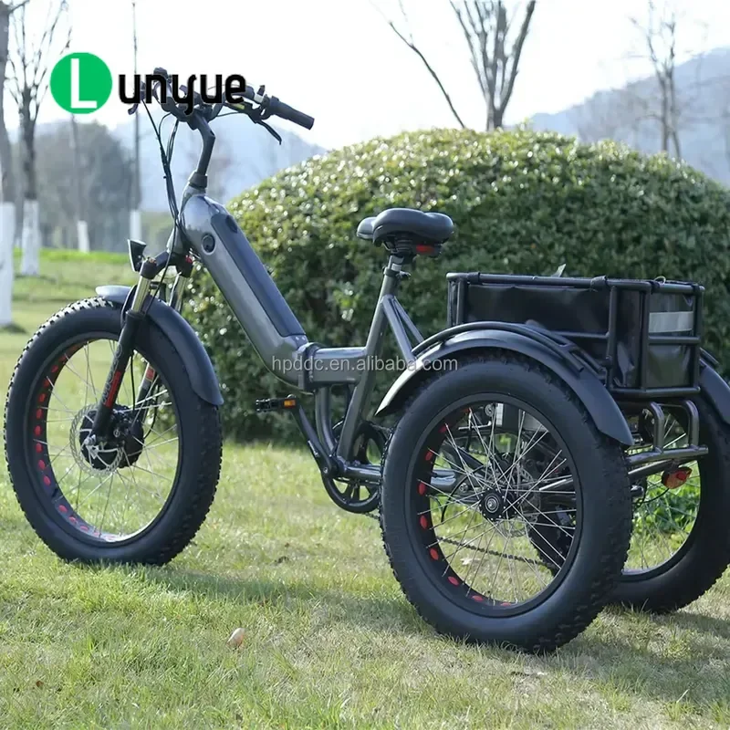 48V 750W Electric Cargo Tricycle Rear Hub Motor 7 Speed Fat Tire Pedal Assist E Bike Large Load Capacity for Adult Commuting
