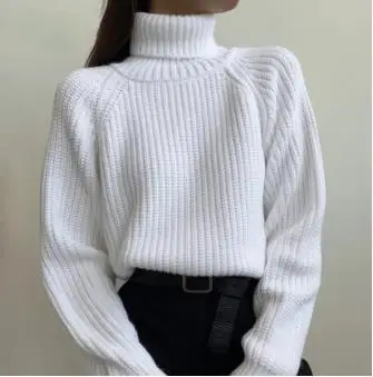 

Women's Minimalist Turtleneck Sweater Ribbed Detail Design Polished Option for Everyday Wear