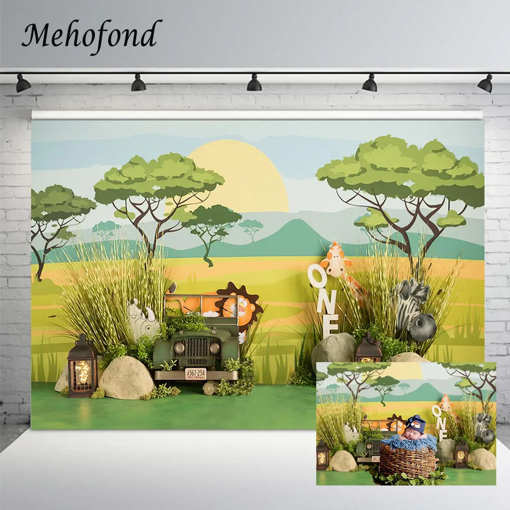 Girl Boy Birthday Party Backdrop Cake Smash Outer Space Boxing Wild One Decor Photography Background Photocall Photo Studio Prop