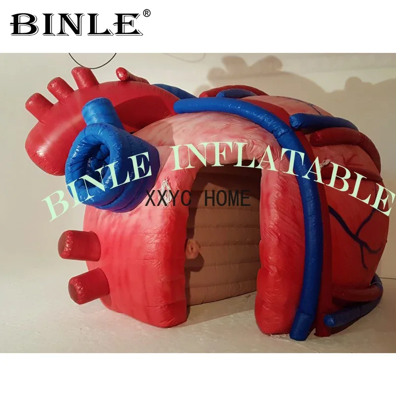 

Free express shipping 3mH advertising balloon giant inflatable heart tunnel tent inflatable organ model for medical exhibition