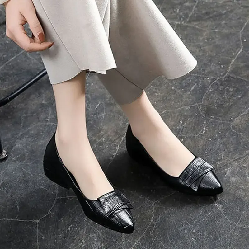 Lastest Woman Pumps Casual Shoes for Women Low Heel Elegant Vacation Dress Spring On Promotion Shoe Quick Delivery 2024 Trend