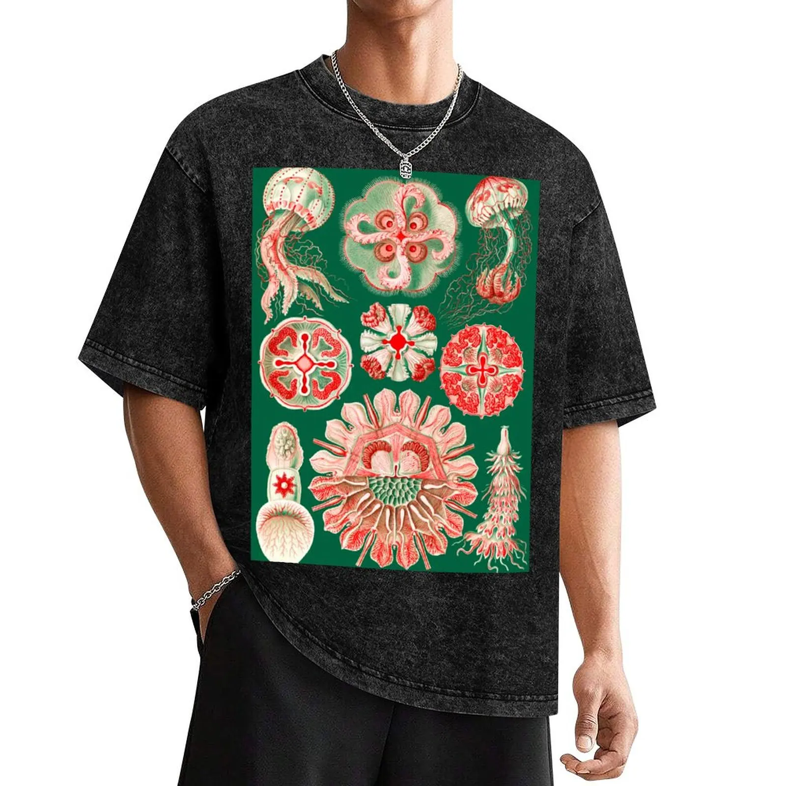 

Jellyfish-Discomedusae–Schweibenquallen by Ernst Haeckel T-Shirt man t shirt sports fans essential t shirt mens t shirt