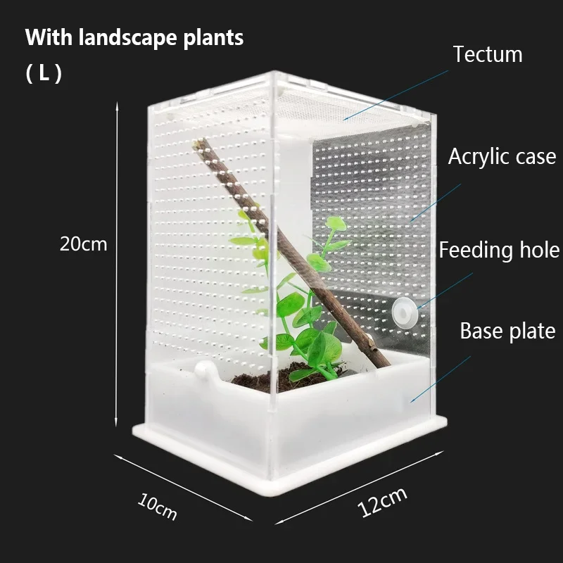 Con plantas de paisaje, caja anfibia para cría de insectos, para lagartos, arañas, camaleón saltador, caja de cría acrílica transparente
