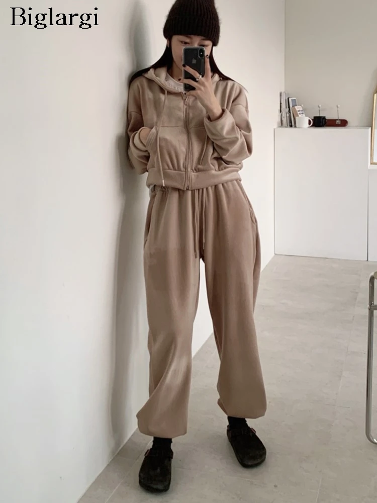 

Осень-зима Меховой комплект из двух предметов Женские повседневные модис Женские укороченные блузки с капюшоном Эластичная талия Свободные плиссированные женские шаровары