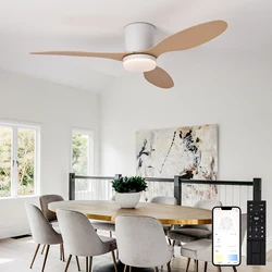 Modern Black White Low Floor DC Motor Ceiling Fans With Remote Control Simple Ceiling Fan Light Home Fan
