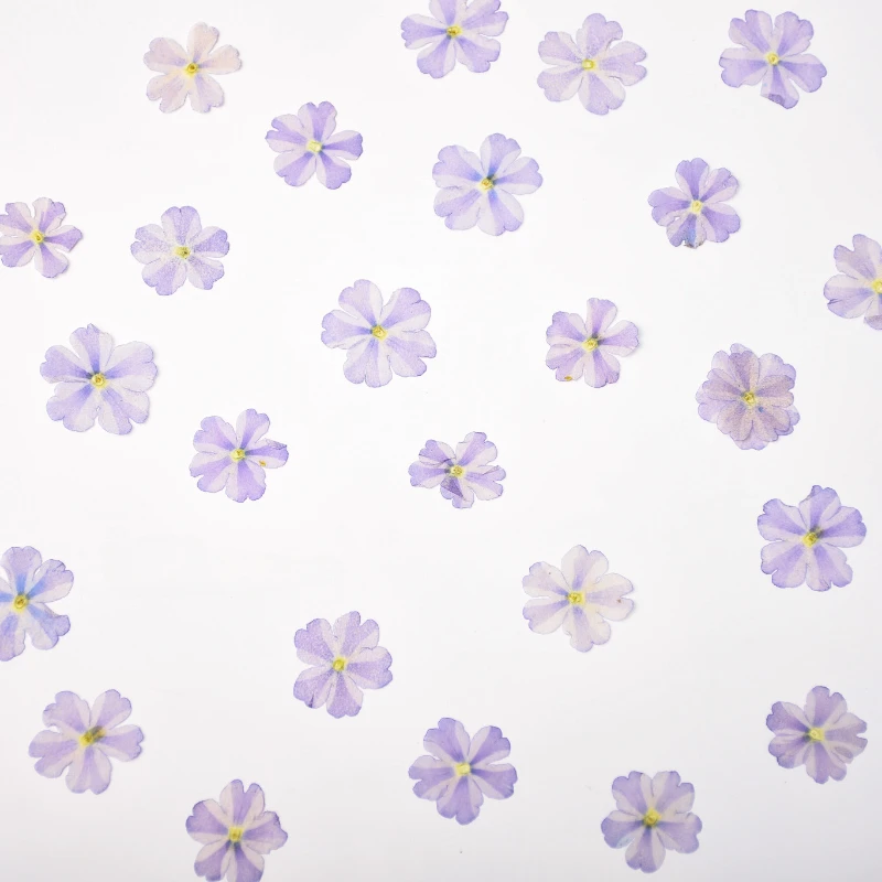 Natürliche Blütenblätter Lila Schönheit Kirschblüten, gepresste Blumen, DIY Schmuck Mini-Siegel Dropstick Handyhülle Gesichtsdekoration, 1-1,5cm/12 Stück – Detail 6
